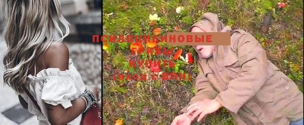 jwh Каменка