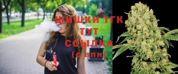 МДПВ Каменногорск