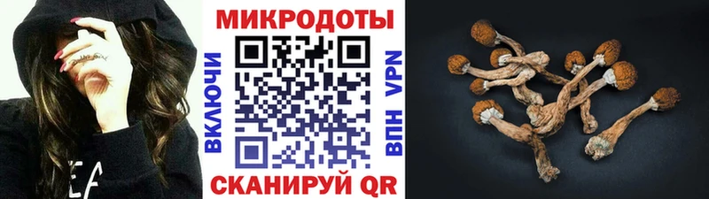 Псилоцибиновые грибы MAGIC MUSHROOMS  Купить  Бородино 